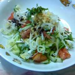野菜たっぷり丼-レシピのメイン写真