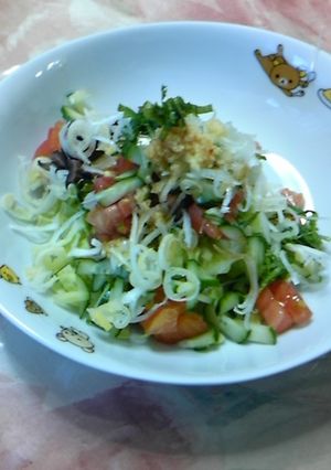 野菜たっぷり丼-レシピのメイン写真