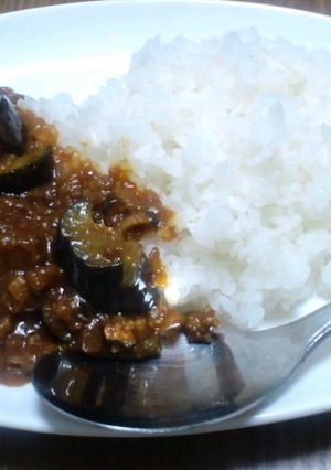 ナスとインゲンのキーマ風カレー-レシピのメイン写真