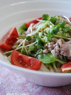 さっぱりサラダうどん-レシピのメイン写真