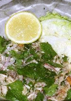 残ったお肉で☆ラープ（タイのハーブサラダ）-レシピのメイン写真