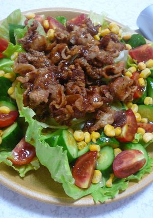 ☆カリカリ豚の夏野菜サラダ☆-レシピのメイン写真