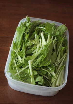 水菜が長持ち＊我が家の保存方法-レシピのメイン写真