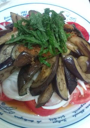 さっぱりナス揚げ-レシピのメイン写真