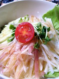 薬味たっぷり冷やし麺 GABAN使用-レシピのメイン写真