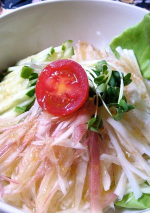 薬味たっぷり冷やし麺　GABAN使用-レシピのメイン写真