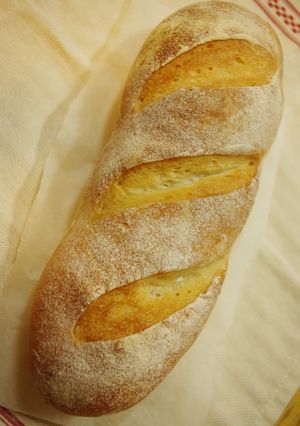 自家製酵母でソフトフランスパン-レシピのメイン写真