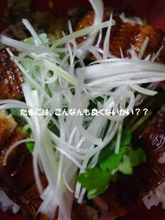 ●さっぱりな方のうなぎ丼●-レシピのメイン写真