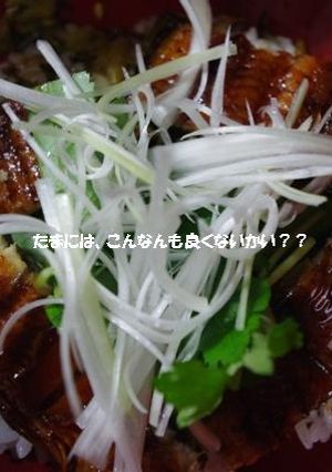 ●さっぱりな方のうなぎ丼●-レシピのメイン写真