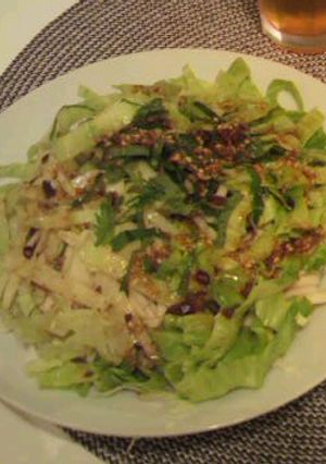 さっぱりﾋﾟﾘ辛ｻﾗﾀﾞうどん-レシピのメイン写真