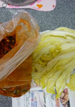 白菜キムチ-レシピのメイン写真