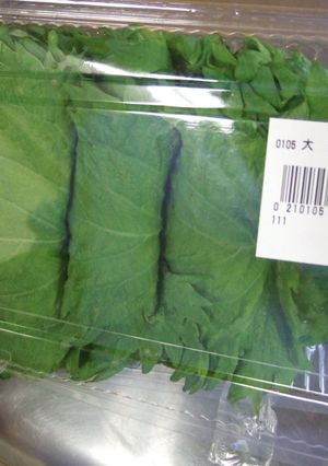 しそ（大葉）の活用レシピ-レシピのメイン写真