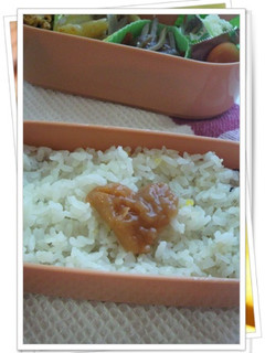 お弁当に梅干しで「❤~愛~❤」-レシピのメイン写真