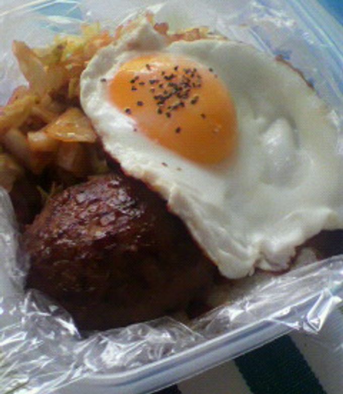 どんぶりものをお弁当にする方法♪-レシピのメイン写真