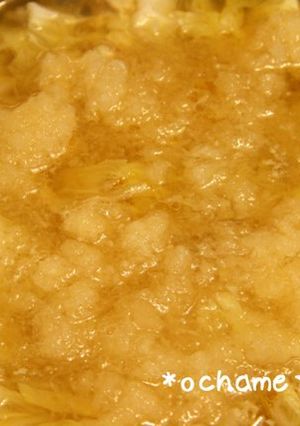 鶏だんごと白菜のみぞれ鍋-レシピのメイン写真
