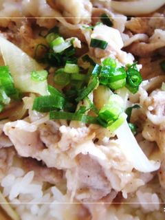 *塩しょうが焼き豚丼*-レシピのメイン写真