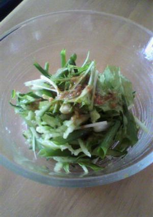 水菜のサラダ☆ネギときゅうりと♪-レシピのメイン写真