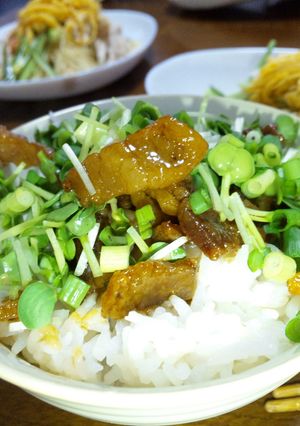 疲労回復！ヘルシーなネギ豚丼♪-レシピのメイン写真