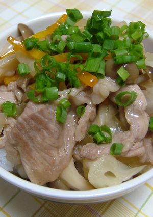 熱々とろとろ✿我が家の具だくさん豚丼✿-レシピのメイン写真