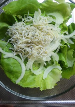 サラダ菜しらすサラダ-レシピのメイン写真