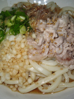 さっぱり!冷やしぶっかけうどん-レシピのメイン写真