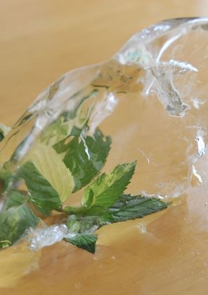透明な氷の作り方（ロックアイス）-レシピのメイン写真