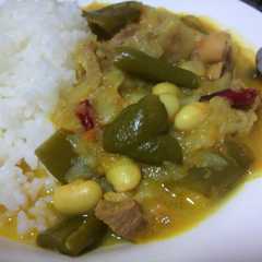 こんなカレーはいかが？-レシピのメイン写真