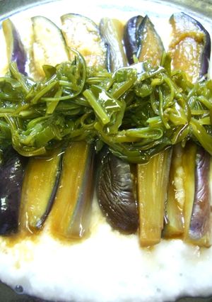 夏の涼味★冷製ワサビ茄子のめかぶ山芋がけ-レシピのメイン写真
