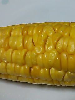 レンジで簡単☆甘いトウモロコシ-レシピのメイン写真