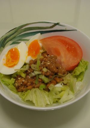シンプル納豆サラダ-レシピのメイン写真