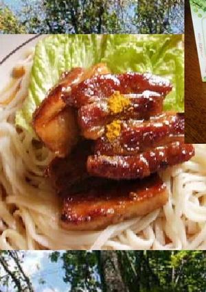 B₁とるぞ元気めん（角煮カ冷うどん）-レシピのメイン写真