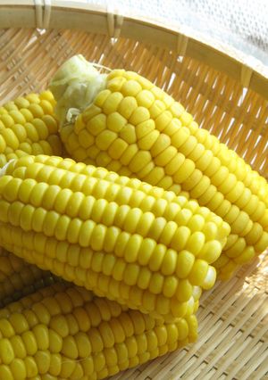 とうもろこしは立てて茹でる(蒸す)-レシピのメイン写真