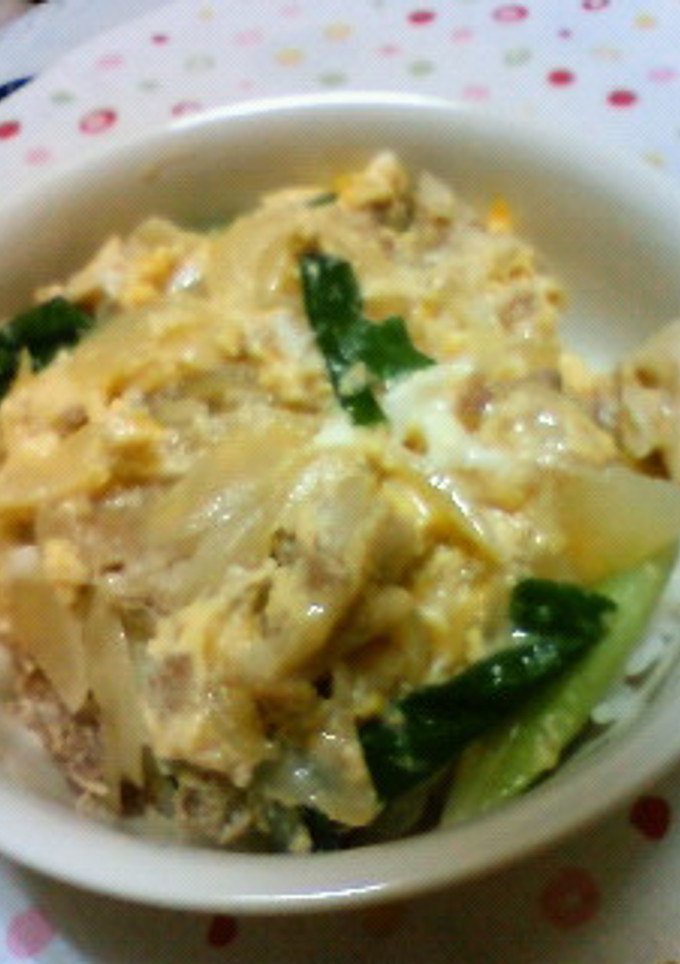他人丼～冷蔵庫にあるもので～-レシピのメイン写真