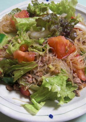 ひき肉と春雨のスパイシ～なサラダ-レシピのメイン写真