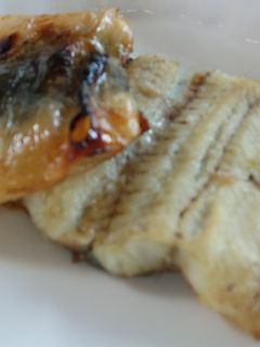 うなぎの白焼き-レシピのメイン写真