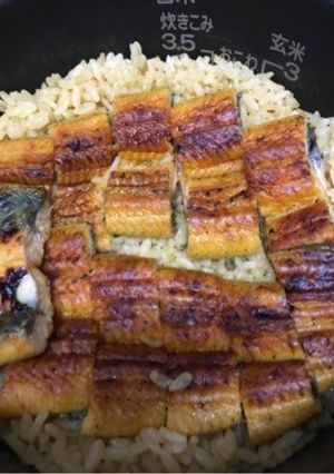 絶品☆うなぎの炊き込みご飯♪-レシピのメイン写真