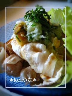 豚☆冷しゃぶのさっぱりおろし醤油-レシピのメイン写真