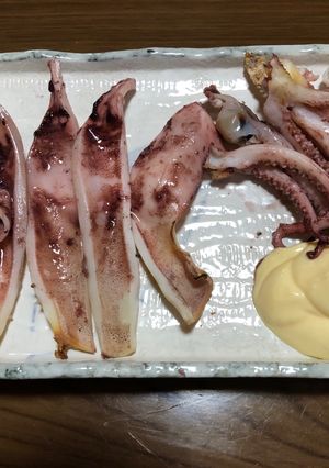 いかの一夜干し-レシピのメイン写真