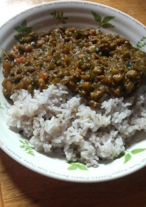 野菜たっぷり夏野菜ドライカレー-レシピのメイン写真