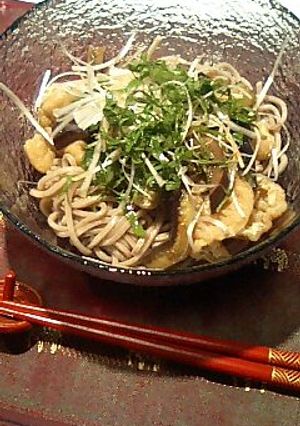 ナスとお揚げの冷たいおそば-レシピのメイン写真