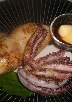 スルメイカの半干し焼き-レシピのメイン写真
