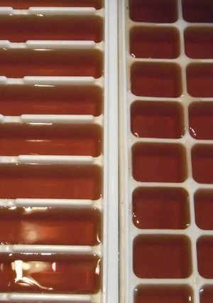 お茶氷-レシピのメイン写真