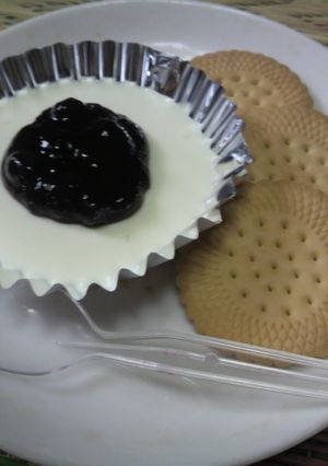レアチーズケーキ＊ヨーグルト風味＊-レシピのメイン写真