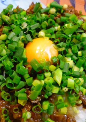 甘辛味付け! 青ネギ牛丼-レシピのメイン写真