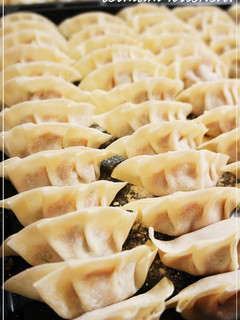 ✿手作り餃子の皮✿-レシピのメイン写真