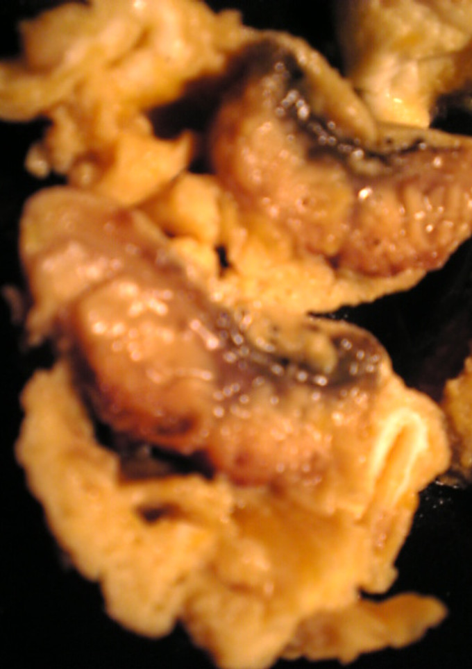 う巻き：鰻の卵焼き巻き-レシピのメイン写真