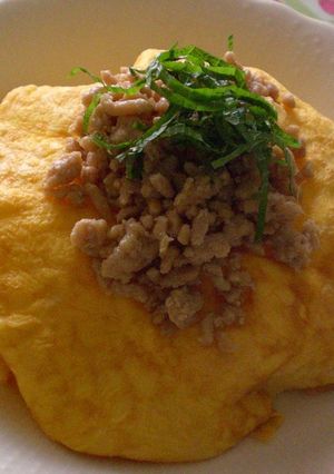 夏のそぼろご飯♪-レシピのメイン写真