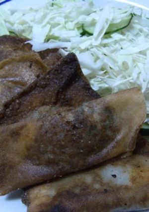 納豆ギョーザ-レシピのメイン写真