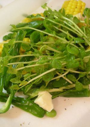 夏野菜の簡単レンジ蒸し♪-レシピのメイン写真