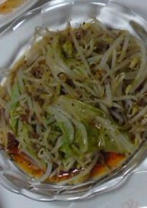 焦がしもやしと白菜-レシピのメイン写真